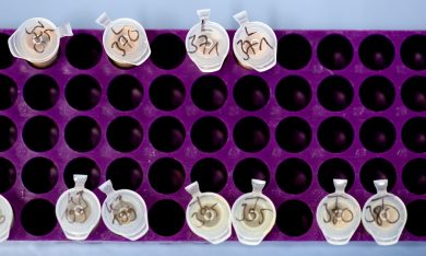 Uzbekistan, test del Dna per scovare i futuri olimpionici