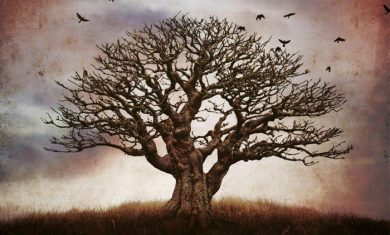 ‘Immagina i corvi’, l’inquietante giallo di Luigi Sorrenti