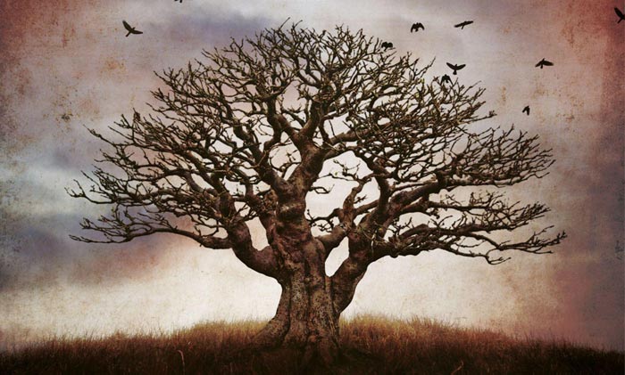 ‘Immagina i corvi’, l’inquietante giallo di Luigi Sorrenti ‘Immagina i corvi’, l’inquietante giallo di Luigi Sorrenti