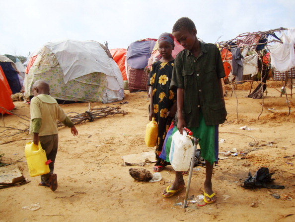 L’Italia ‘sfamerà’ il Mondo grazie alla tecnica ‘BioHyst’