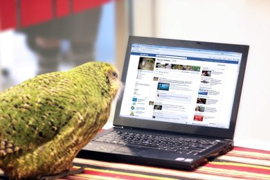 Facebook riduce la visibilità delle pagine. 5 consigli per non scomparire