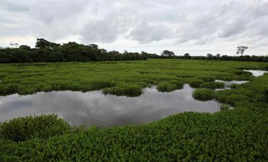 Expo2015: a Milano uno stand sullo Stato del Mato Grosso