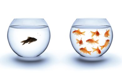 Sette libri contro il razzismo