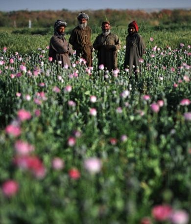 La stupefacente rivincita talebana