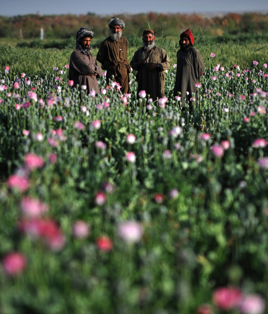 La stupefacente rivincita talebana