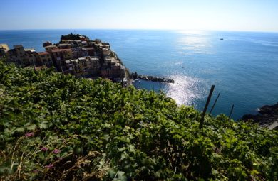 La “terra dei fuochi” a due passi dalle Cinque Terre