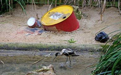 Il Museo dei crimini ambientali e altre foto del giorno, 06.03.2014