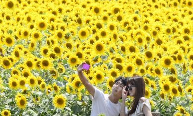 In Giappone cresce la sindrome del celibato