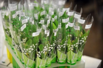 Il profumo più sexy? Quello di mughetto