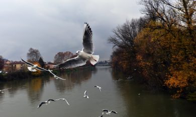 Il Po sommerge anche i suoi guardiani
