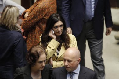 La rete contro la “spesa” della Picierno