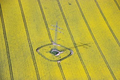 Le foto più belle della settimana – 11/17 aprile