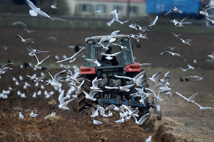 Italy is a leader in innovative agricultural machineries Italy is a leader in innovative agricultural machineries