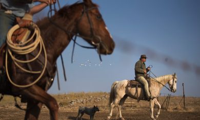Il ritorno del cowboy