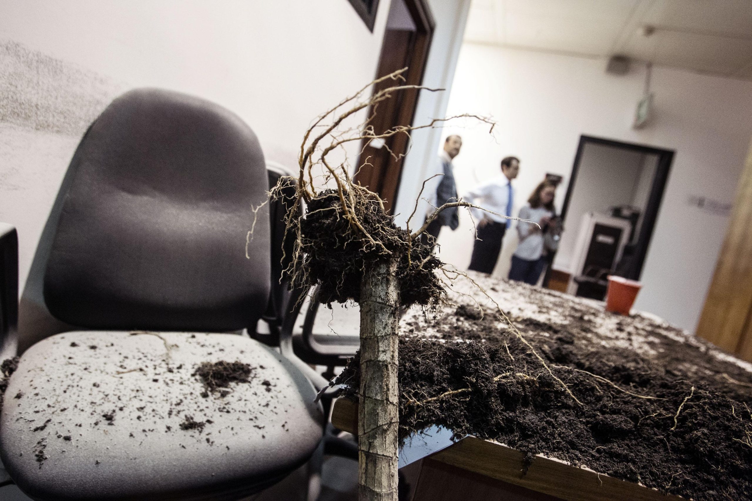 Corteo a Roma, la minaccia degli antagonisti Corteo a Roma, la minaccia degli antagonisti