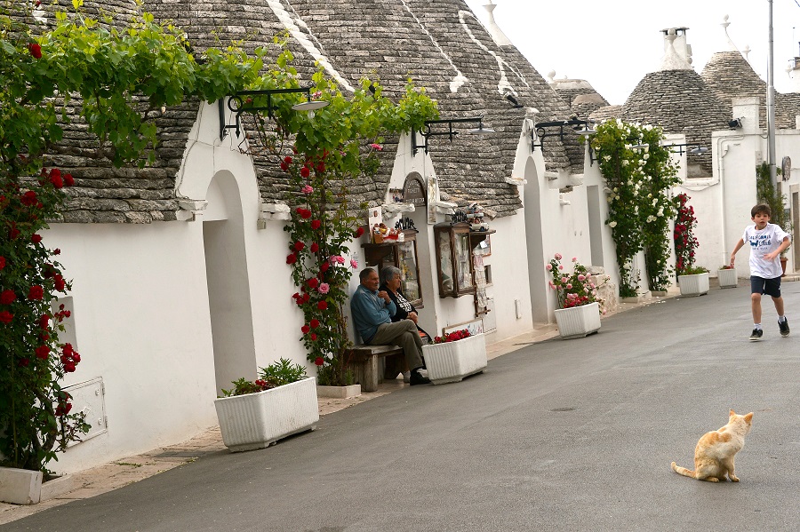 Italy’s Heels among Lonely Planet Best Places to Go in 2014 Italy’s Heels among Lonely Planet Best Places to Go in 2014