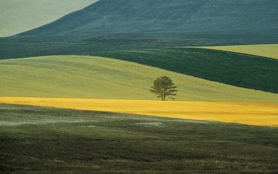 I colori di Franco Fontana in mostra a Venezia