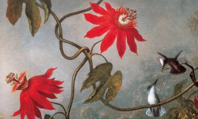 5 libri su famiglie in crisi