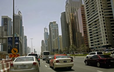 A Dubai arriva il taxi per cani