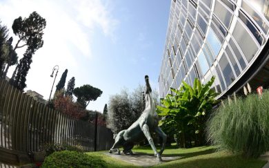 Rai, 5000 domande per 100 posti (a termine)