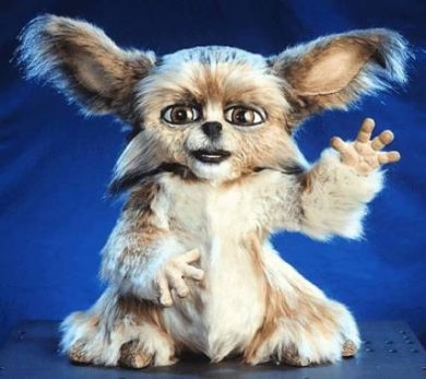 Social robot, ecco perché i robot del futuro dovranno essere sensibili