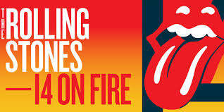 Il meraviglioso pubblico dei Rolling Stones al Circo Massimo