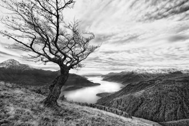 Alberto Bianchi: The Valley Tale