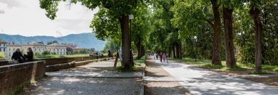 Nicola Ughi. Around the wall: Lucca on Twin Camera