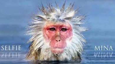 Mina, la recensione di “Selfie”