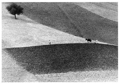 Paesaggi con figure: foto di Berengo Gardin, Branzi e Gronsky