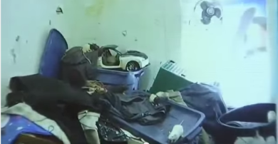 “Rat girl”, a San Francisco vive la donna che alleva topi