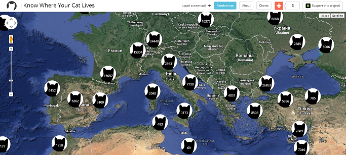 Tutti i gatti del mondo, in una mappa Tutti i gatti del mondo, in una mappa