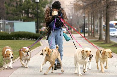 Inventarsi il lavoro: il successo di Taskrabbit