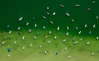 Le foto più belle della settimana – 11/17 luglio