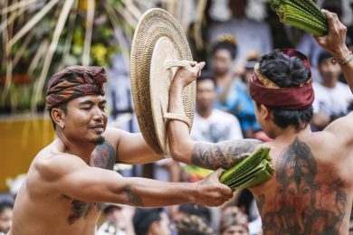 La lotta con foglie di pandano in Indonesia