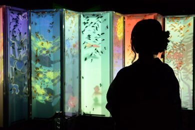 Acquari d’artista in mostra a Tokyo