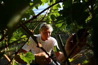 Thirty international students to learn and relaunch Made in Italy