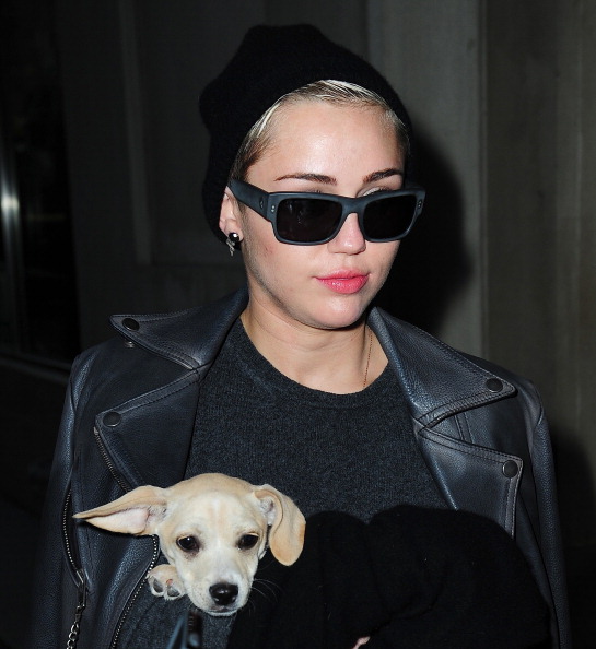 E’ #dogselfie mania: tutte in posa coi propri cani E’ #dogselfie mania: tutte in posa coi propri cani