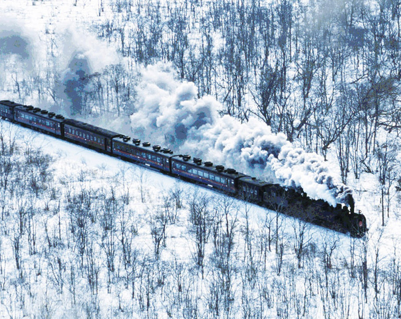 Premio Strega Europeo, i cinque finalisti Premio Strega Europeo, i cinque finalisti