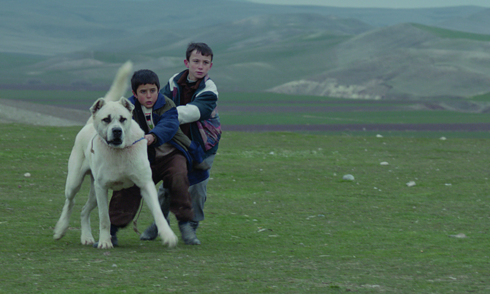 Venezia 2014, foto e schede di tutti i film in concorso Venezia 2014, foto e schede di tutti i film in concorso
