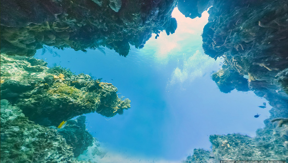 Google Street View sui fondali dell’isola di Cozumel Google Street View sui fondali dell’isola di Cozumel