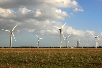 Green Economy, tre mestieri su cui puntare