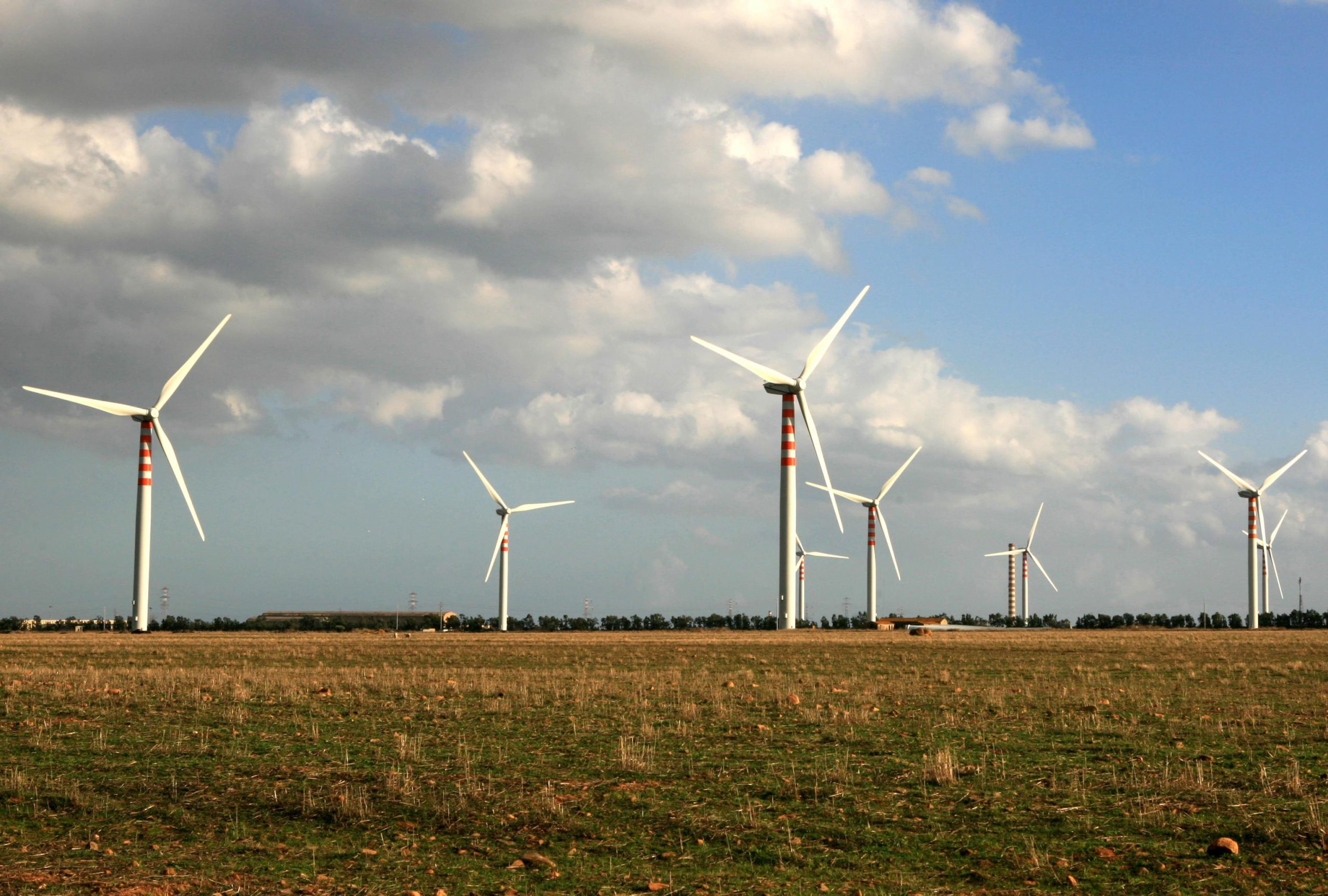 Green Economy, tre mestieri su cui puntare