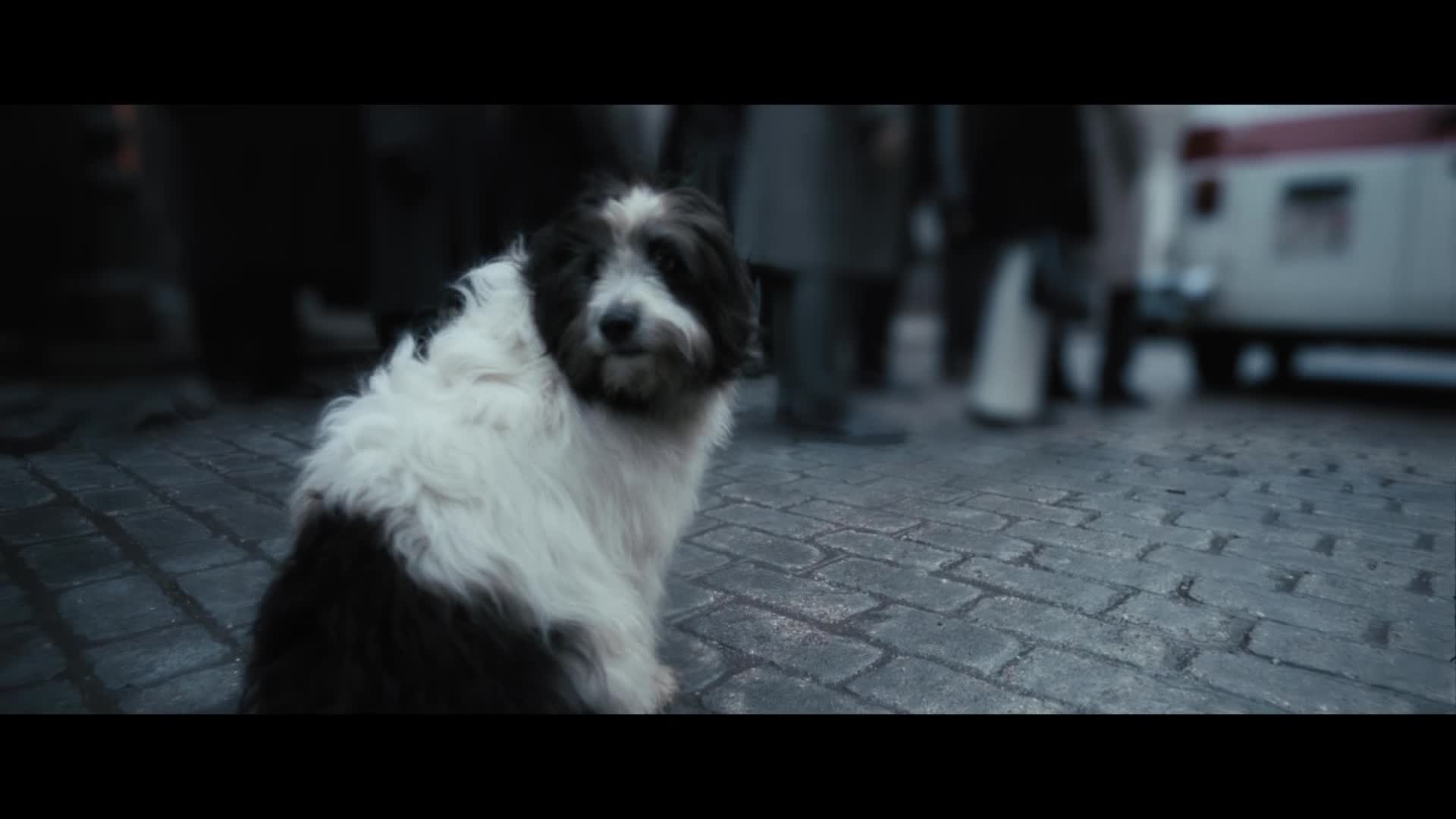 “La buca” di Daniele Ciprì, i titoli di testa “La buca” di Daniele Ciprì, i titoli di testa