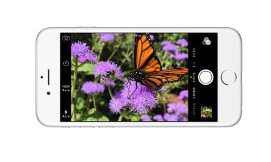 iPhone 6 e Plus contro iPhone 5S: fotocamere a confronto
