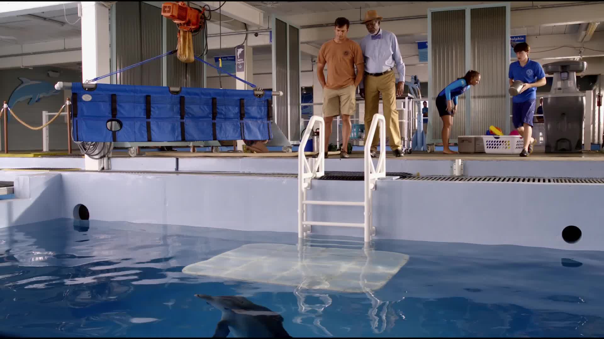 L’incredibile storia di Winter il delfino 2, un estratto del film L’incredibile storia di Winter il delfino 2, un estratto del film