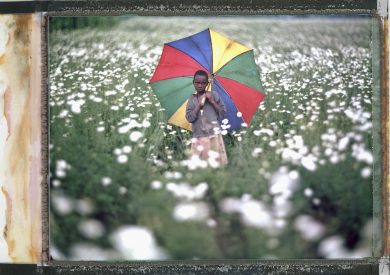 Ruanda 20 anni dopo, ritratti del cambiamento