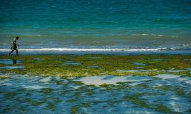 Le foto più belle della settimana – 24/30 ottobre