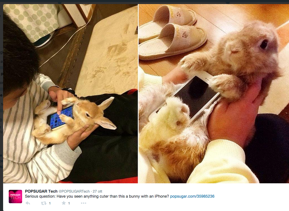 Conigli porta smartphone? Animalisti sul piede di guerra