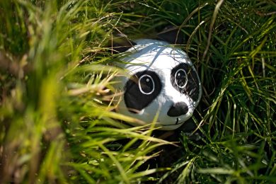 Italian bracelets for charity